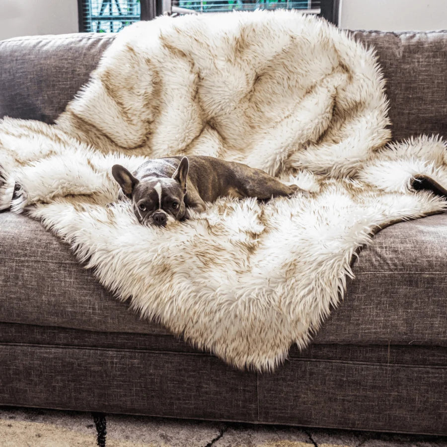 Paw.com PupProtector luxury waterproof pet throw blanket in white faux fur with brown accents, designed to protect sofas and furniture.
