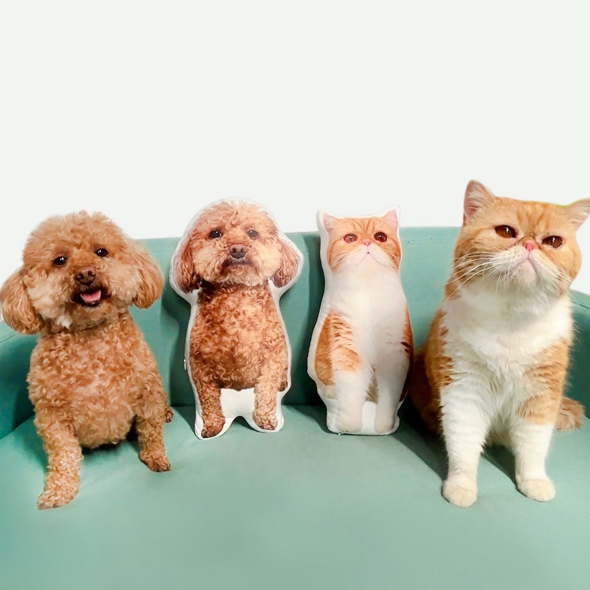 The Cuddle Clone — Personalised Pet Photo Pillow